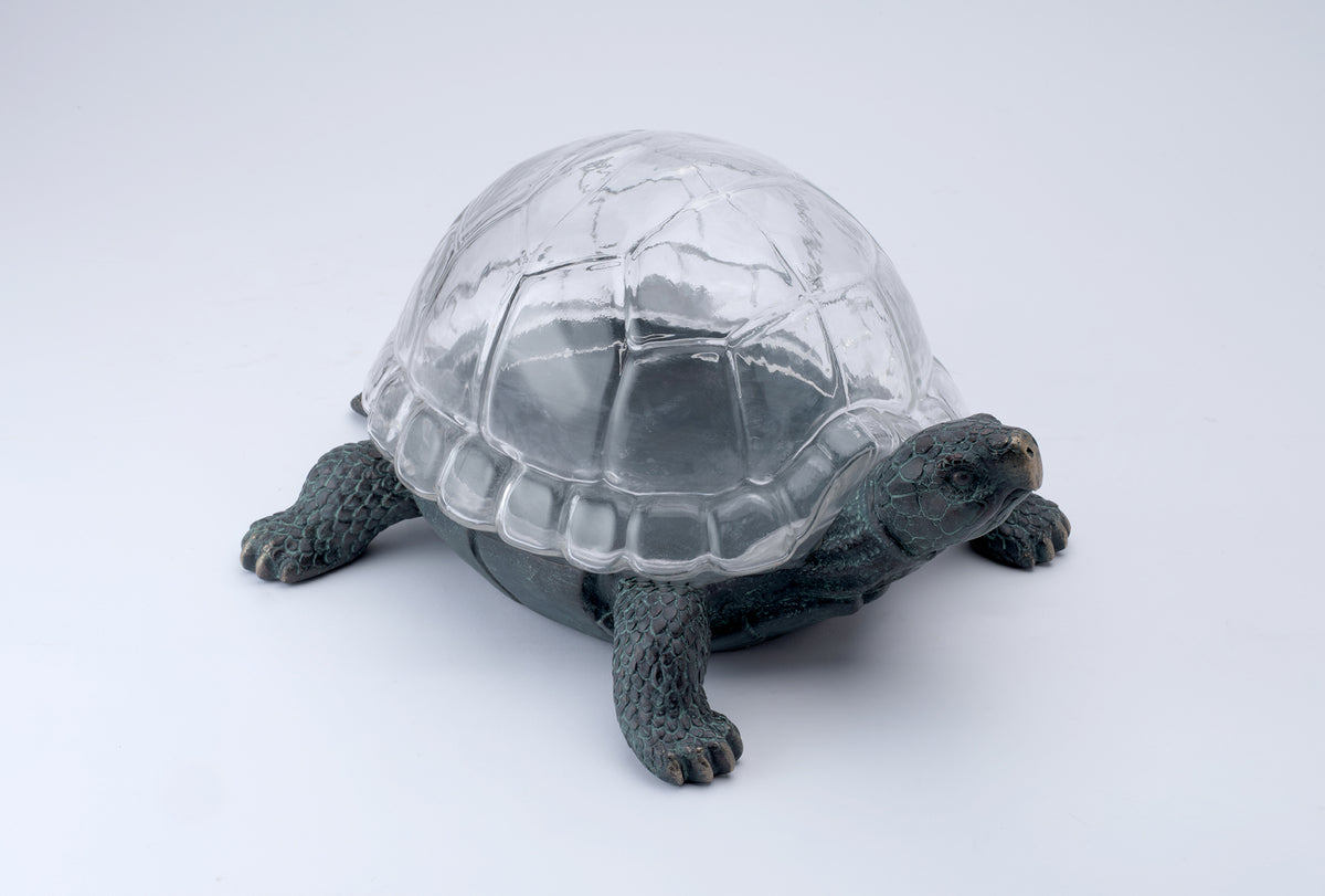 Tortoise terrarium with glass shell. Ornate turtle display case