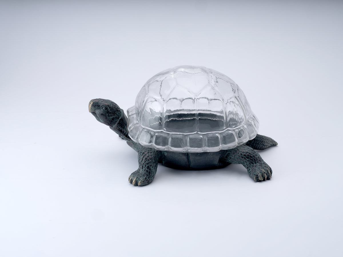 Tortoise terrarium with glass shell. Ornate turtle display case