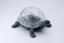 Incognito Turtle Island terrarium / display bowl