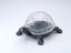 Incognito Turtle Island terrarium / display bowl